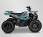 Preview: Elektro Quad Apollo Sano Hammer 1500W